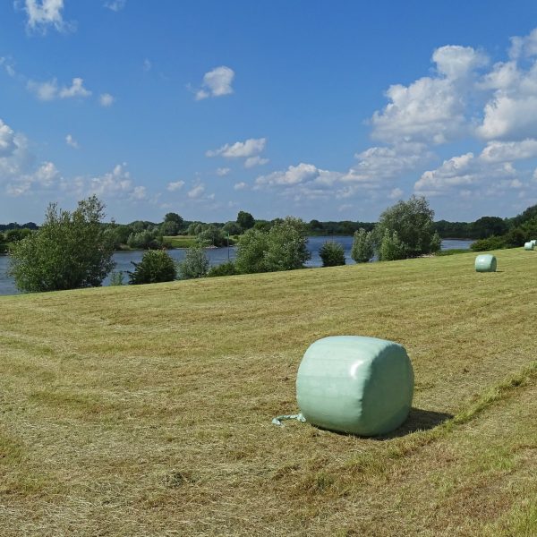IJsselvallei tussen Deventer en Bronckhorst
